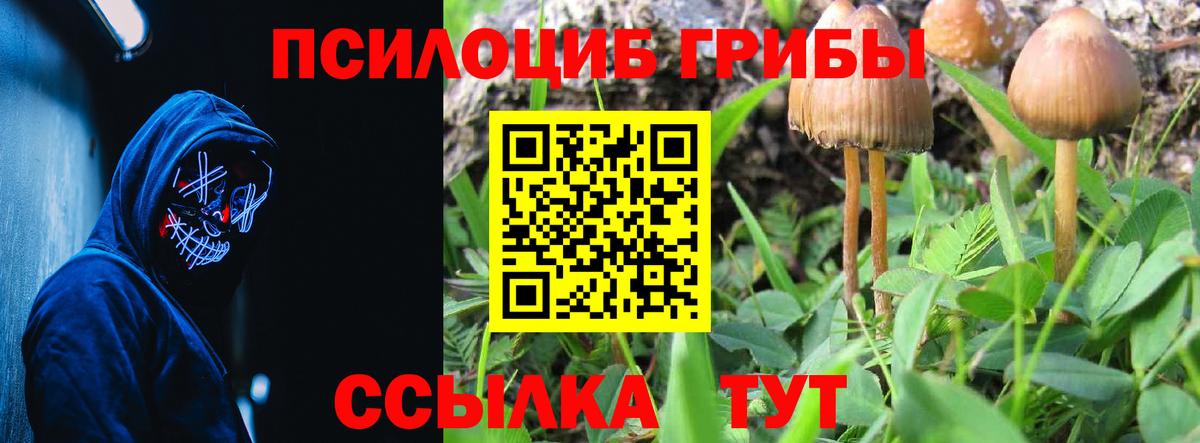 Псилоцибиновые грибы MAGIC MUSHROOMS  Вход с VPN  Кузнецк 